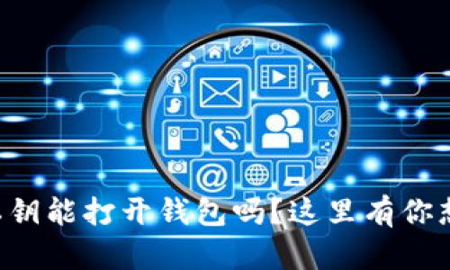 比特币钱包私钥能打开钱包吗？这里有你想知道的一切！