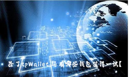 除了tpWallet，还有哪些钱包值得一试？