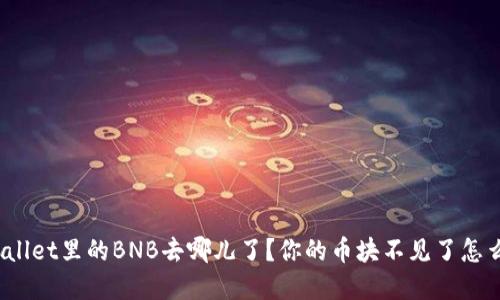 tpWallet里的BNB去哪儿了？你的币块不见了怎么办？