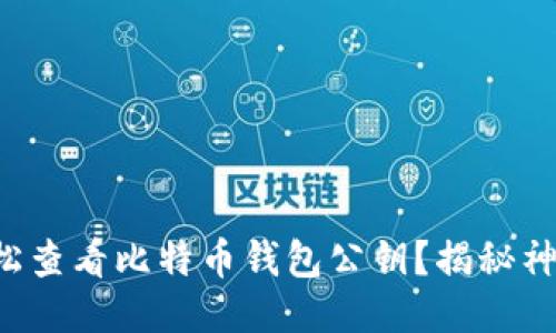 如何轻松查看比特币钱包公钥？揭秘神秘面纱！