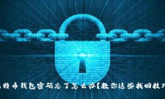 比特币钱包密码忘了怎么