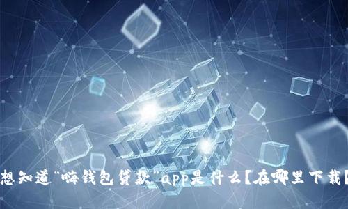 想知道“嗨钱包贷款”app是什么？在哪里下载？