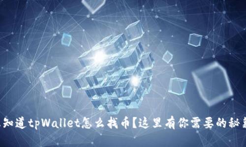 想知道tpWallet怎么找币？这里有你需要的秘籍！