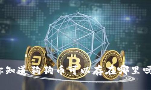 你知道狗狗币可以存在哪里吗？