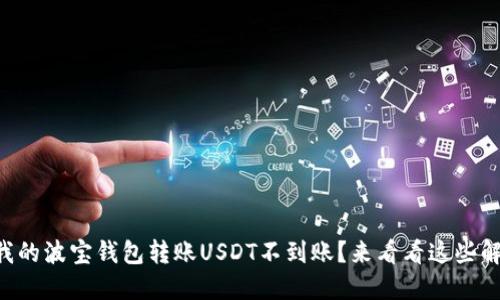 为什么我的波宝钱包转账USDT不到账？来看看这些解决方案！