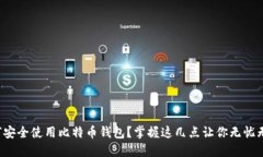 如何安全使用比特币钱包