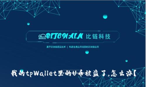 我的tpWallet里的U币被盗了，怎么办？