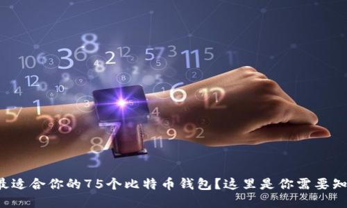 如何选择最适合你的75个比特币钱包？这里是你需要知道的一切！
