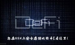 想在OSX上安全存储比特币