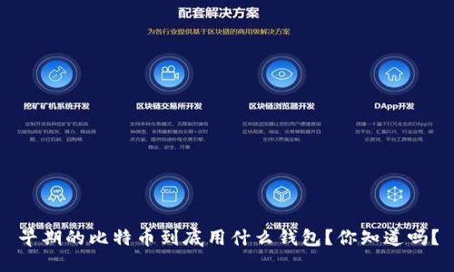 早期的比特币到底用什么钱包？你知道吗？