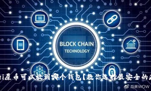 guei/guei屎币可以放到哪个钱包？教你选择最安全的存储方式！