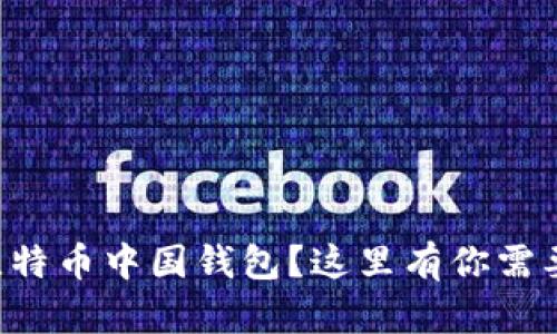 为什么选择比特币中国钱包？这里有你需要知道的一切！