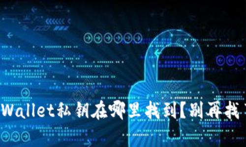 tpWallet私钥在哪里找到？别再找了！