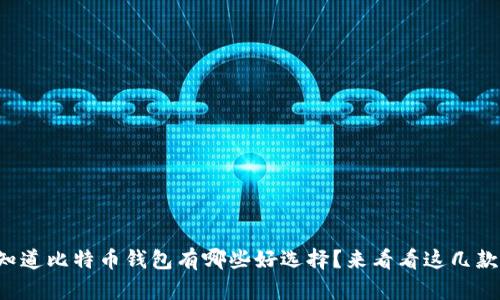 想知道比特币钱包有哪些好选择？来看看这几款吧！