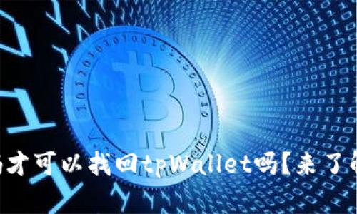 只有密码才可以找回tpWallet吗？来了解一下吧！