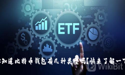你知道比特币钱包有几种类型吗？快来了解一下！