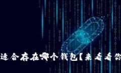 20链USDT最适合存在哪个钱