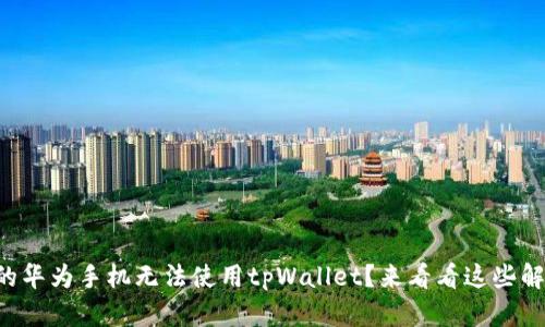 为什么我的华为手机无法使用tpWallet？来看看这些解决方案吧！