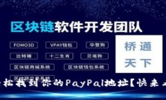 如何轻松找到你的PayPal地