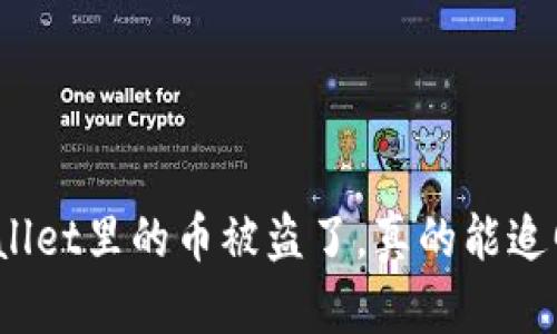 tpWallet里的币被盗了，真的能追回吗？