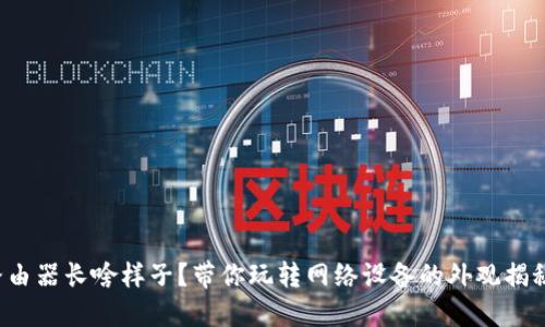 路由器长啥样子？带你玩转网络设备的外观揭秘！
