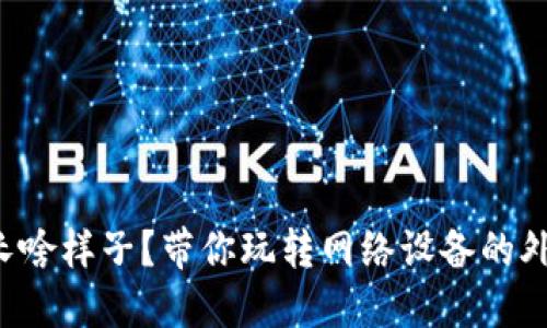 路由器长啥样子？带你玩转网络设备的外观揭秘！