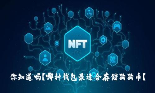 你知道吗？哪种钱包最适合存储狗狗币？