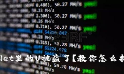 tpWallet里的U被盗了？教你怎么找回来！