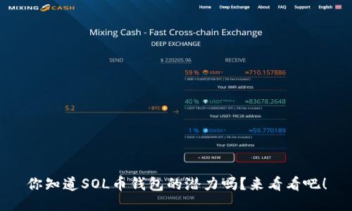 你知道SOL币钱包的潜力吗？来看看吧！