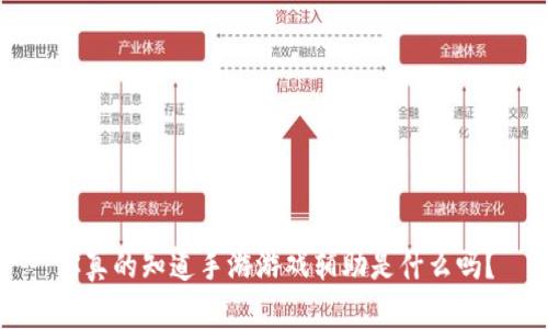 你真的知道手游游戏辅助是什么吗？