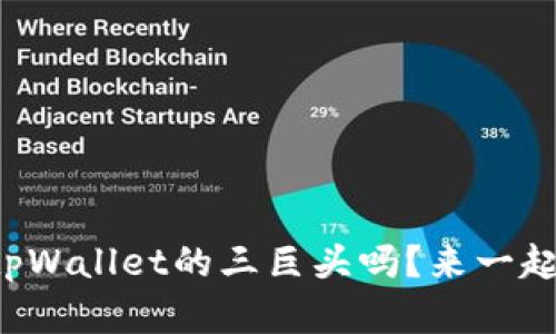 你了解tpWallet的三巨头吗？来一起探讨吧！