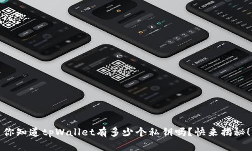 你知道tpWallet有多少个私钥吗？快来揭秘！