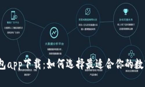 数字钱包app下载：如何选择最适合你的数字钱包？