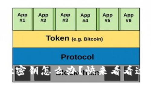 忘记tpWallet密钥怎么办？快来看看这些解决方法！