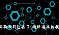 “我的狗狗币钱包丢了！