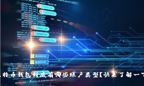 比特币钱包到底有哪些账户类型？快来了解一下！