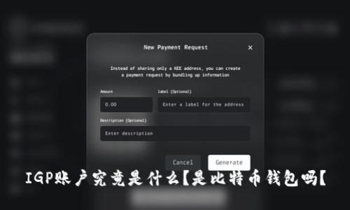 IGP账户究竟是什么？是比特币钱包吗？
