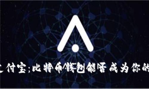 未来的支付宝：比特币钱包能否成为你的新选择？