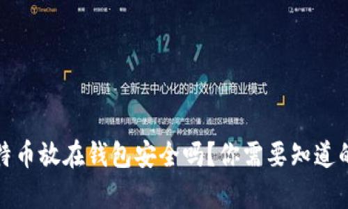 把比特币放在钱包安全吗？你需要知道的真相