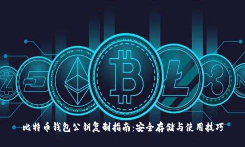 比特币钱包公钥复制指南：安全存储与使用技巧