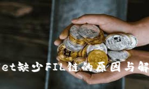 tpWallet缺少FIL链的原因与解决办法