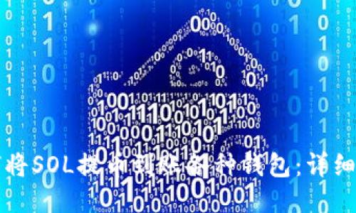 如何将SOL提币到账各种钱包：详细指南