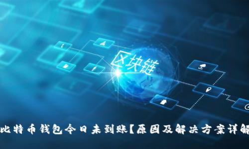比特币钱包今日未到账？原因及解决方案详解