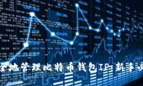 如何安全地管理比特币钱包IP：新手必读指南