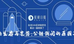 公链的生存与衰落：公链