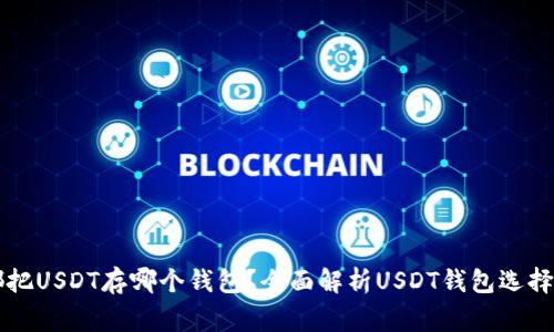 大家都把USDT存哪个钱包？全面解析USDT钱包选择与推荐