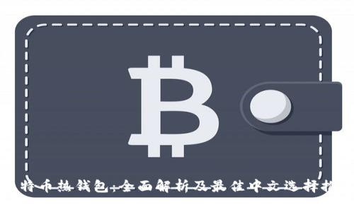 比特币热钱包：全面解析及最佳中文选择推荐