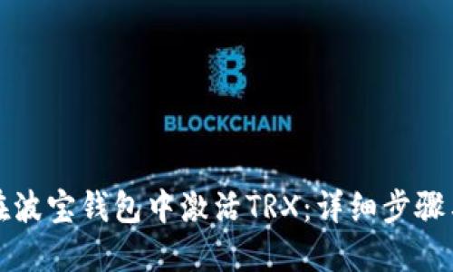 如何在波宝钱包中激活TRX：详细步骤与技巧