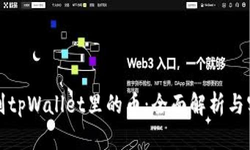 如何辨别tpWallet里的币：全面解析与实用技巧