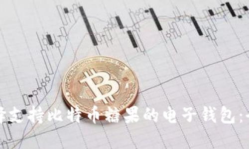 如何选择支持比特币糖果的电子钱包：全面指南